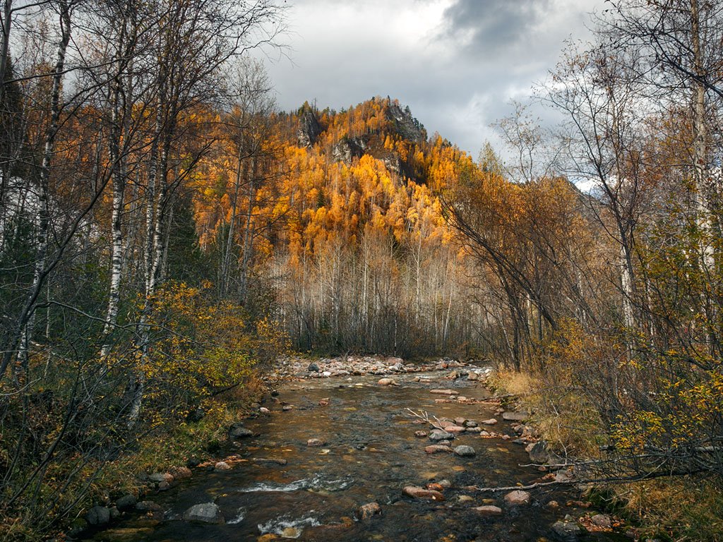 Фото дня