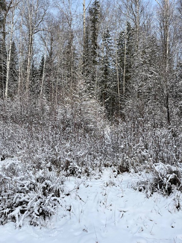 Фото дня