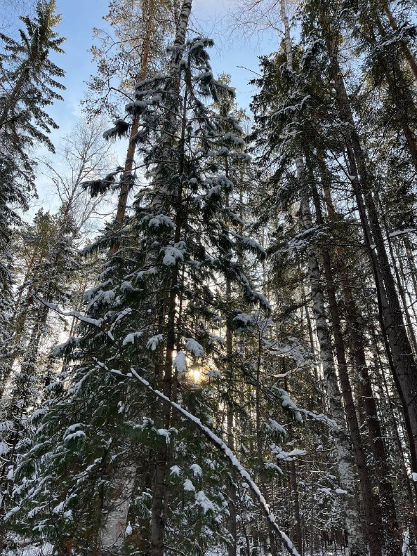 Фото дня