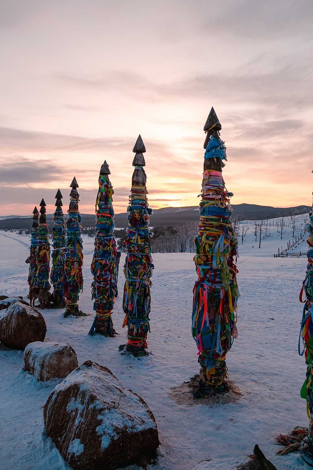 Фото дня