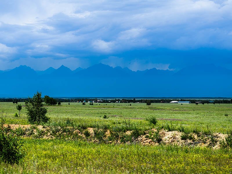 Фото дня