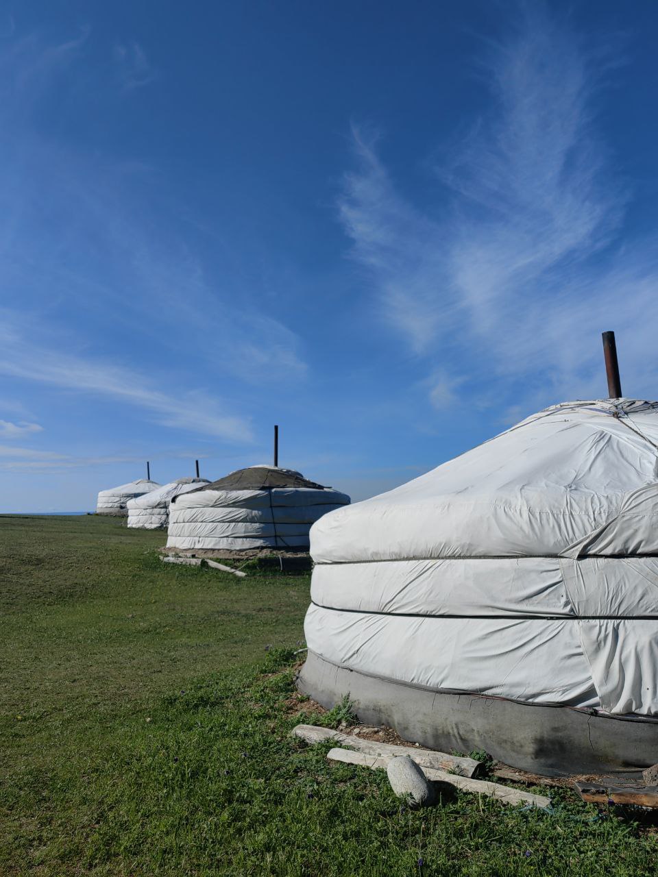 Фото дня