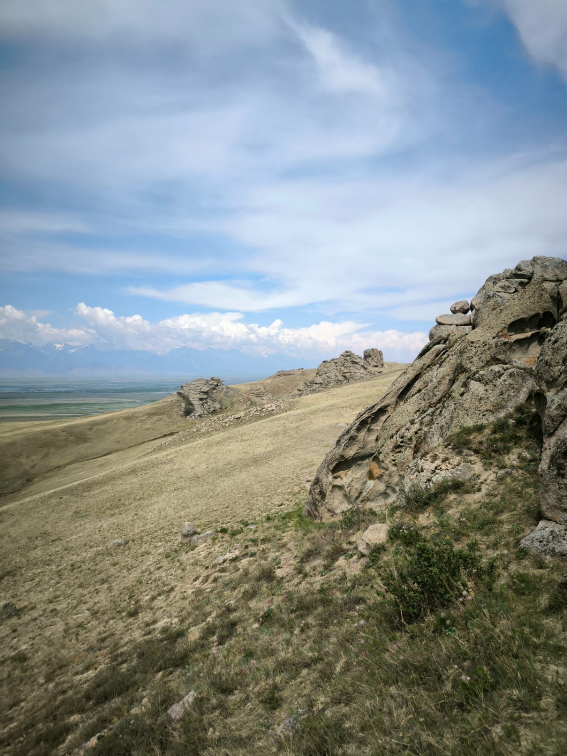 Фото дня