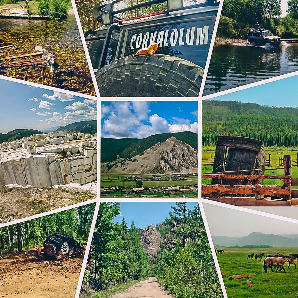 Фото дня