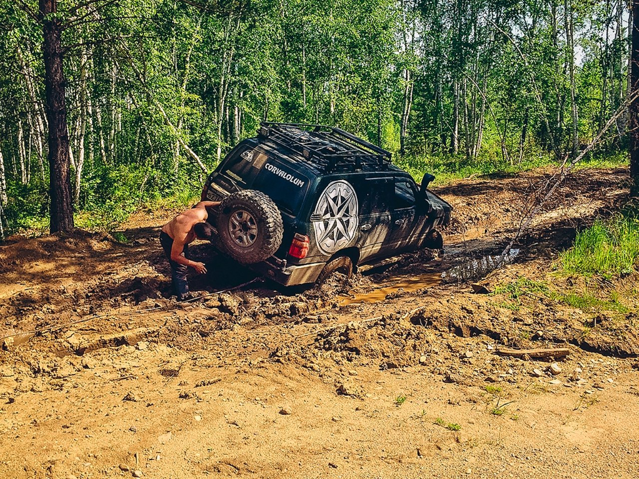 Фото дня