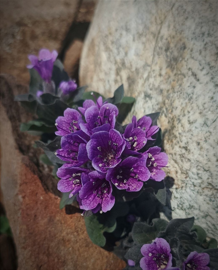 Фото дня