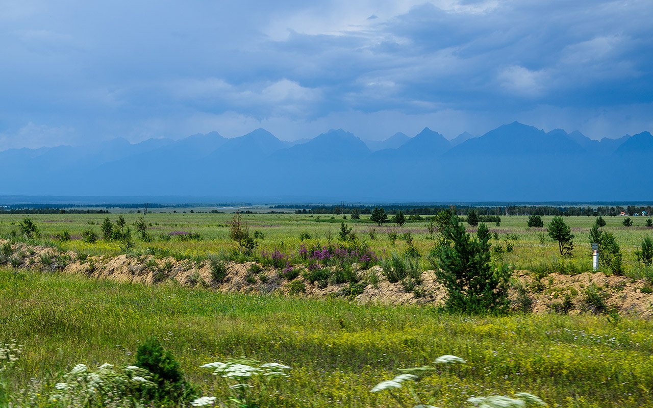 Фото дня