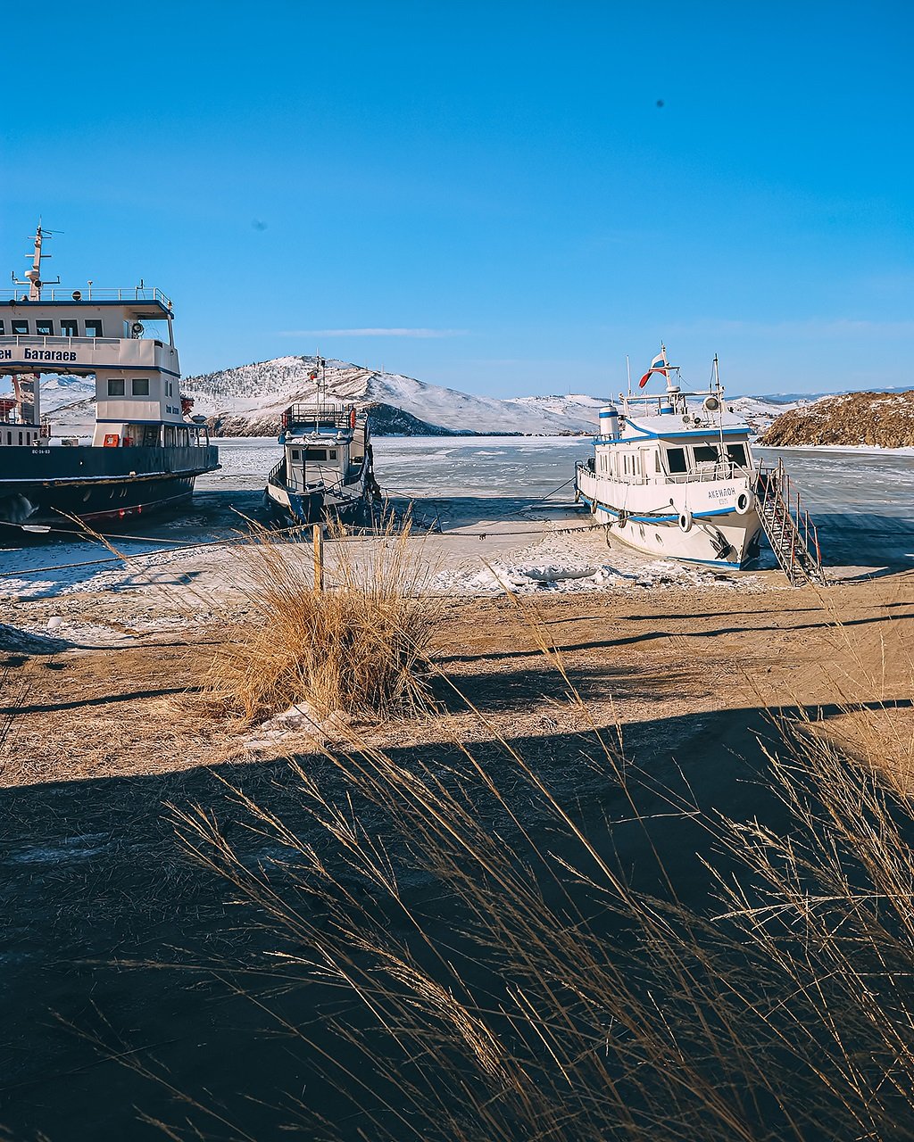 Фото дня