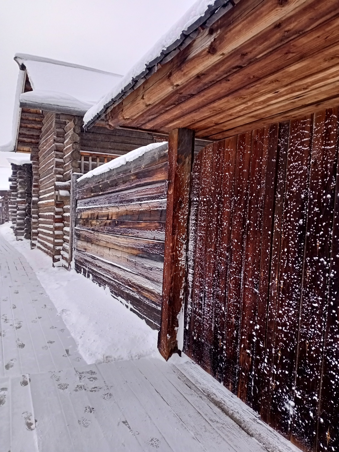 Фото дня
