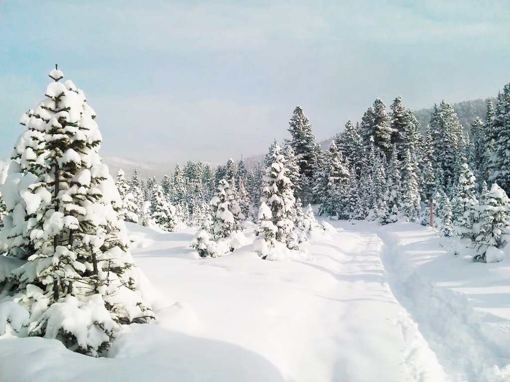 Фото дня