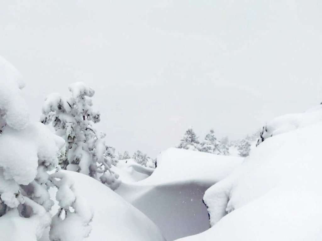 Фото дня