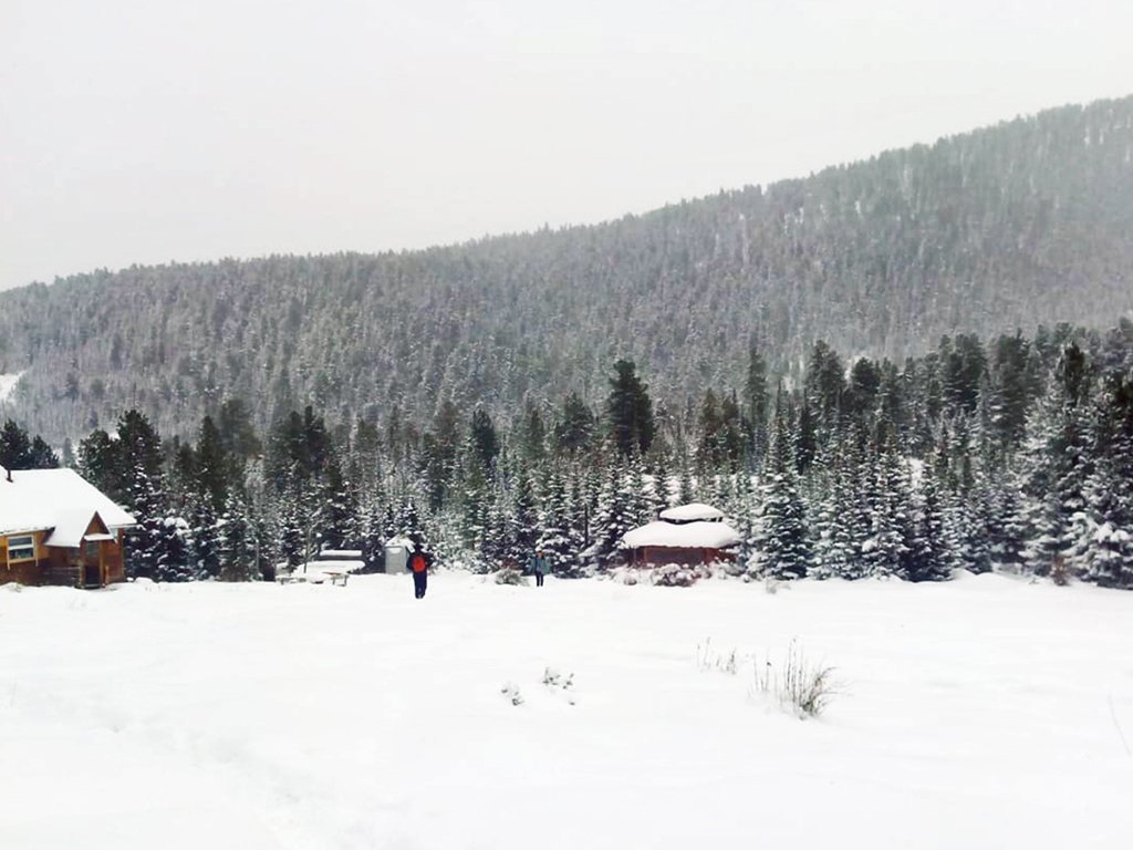 Фото дня