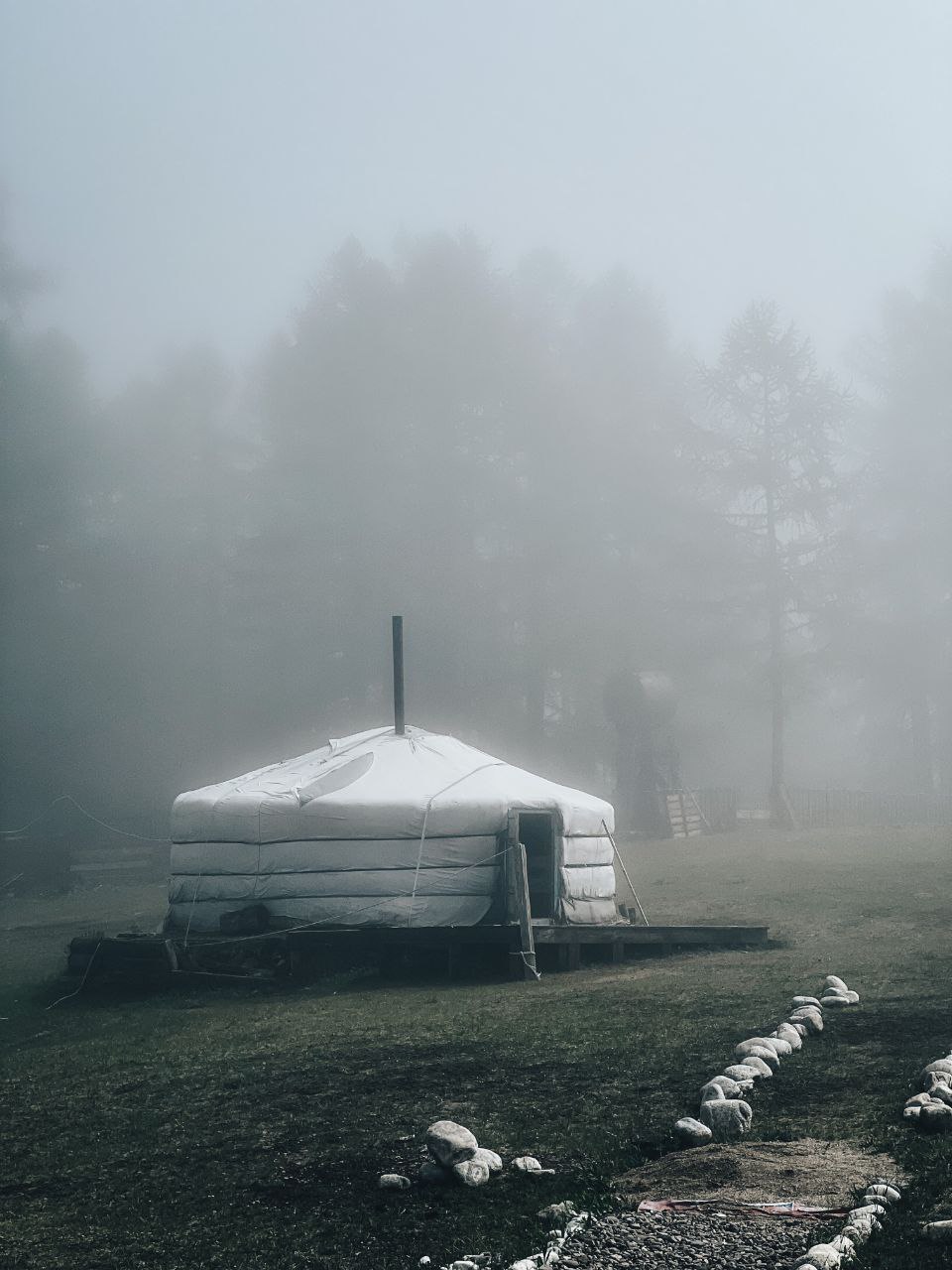 Фото дня