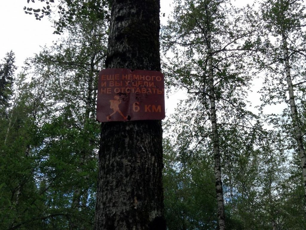 Фото дня