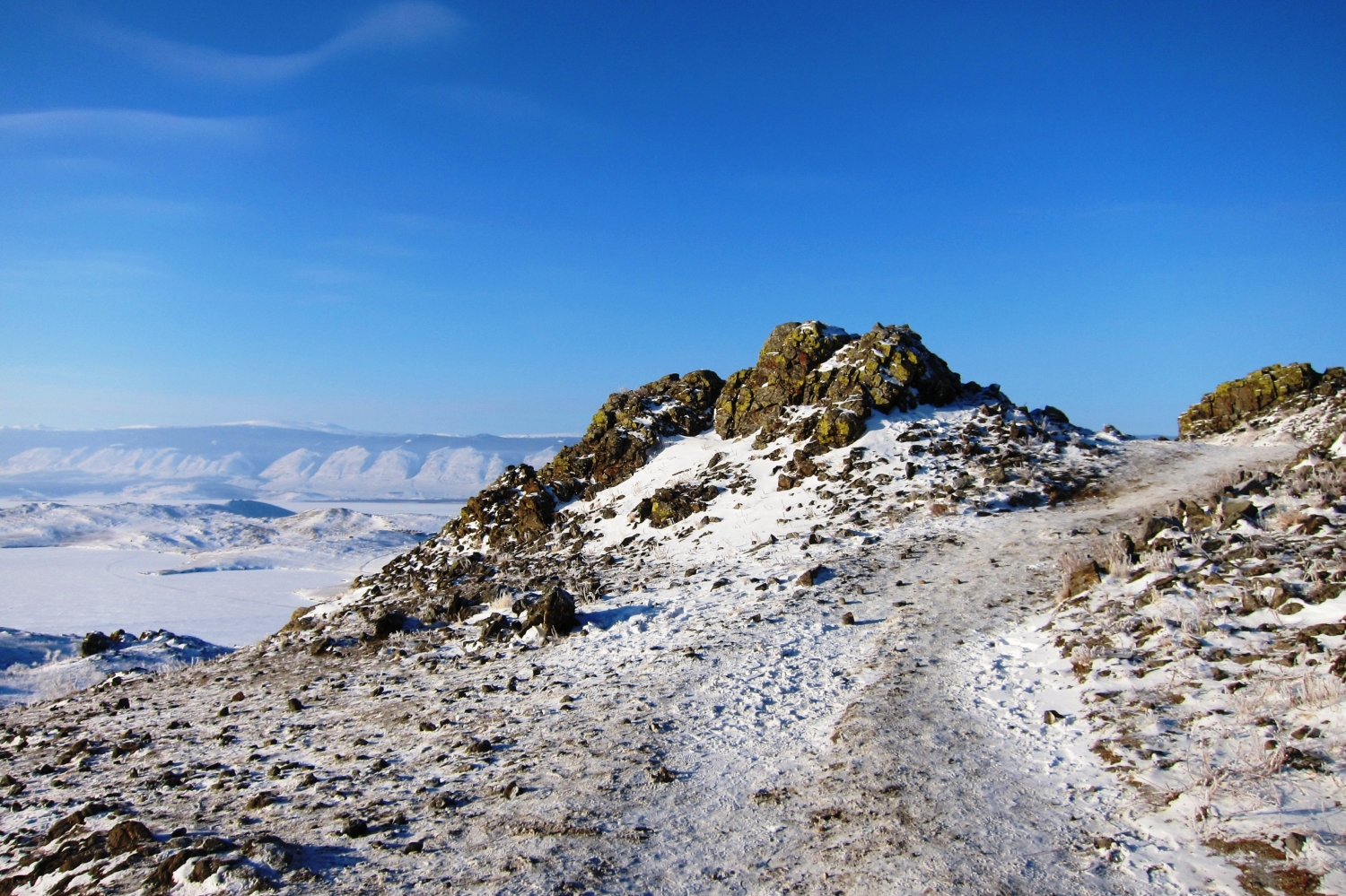 Фото дня