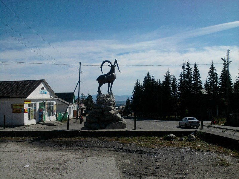 Фото дня