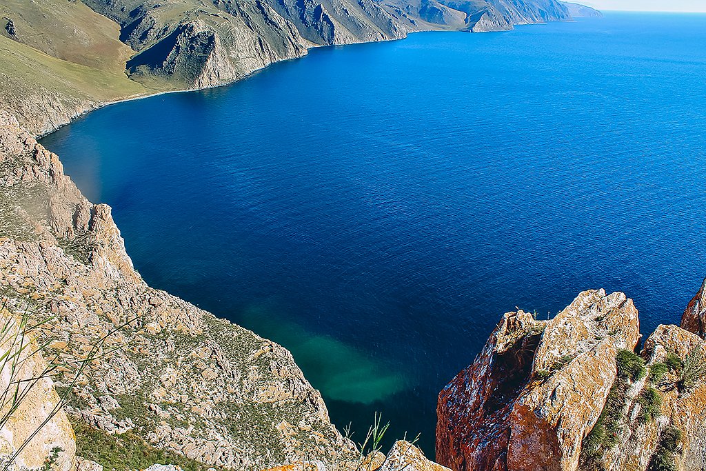 Фото дня