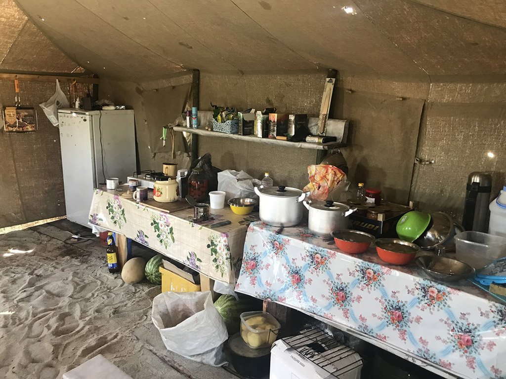 Фото дня