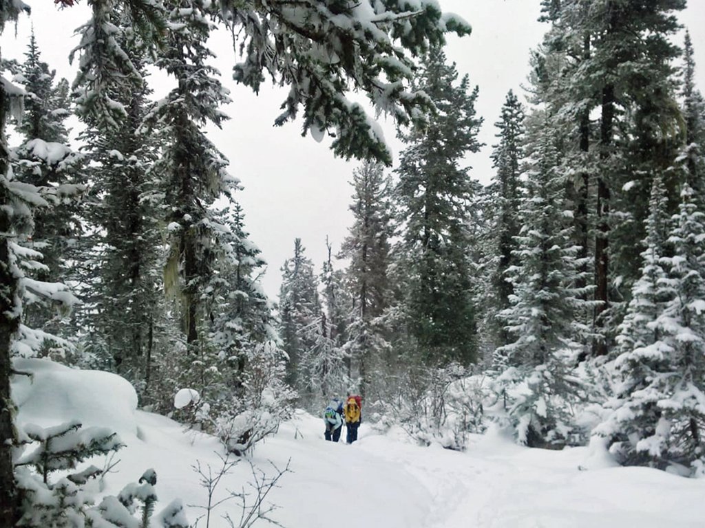 Фото дня