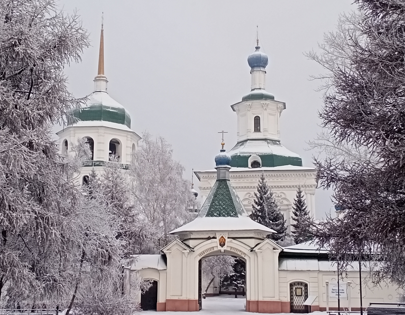 Фото дня