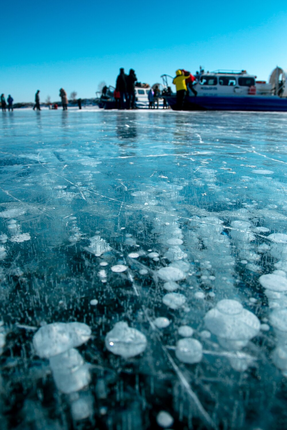 Фото дня