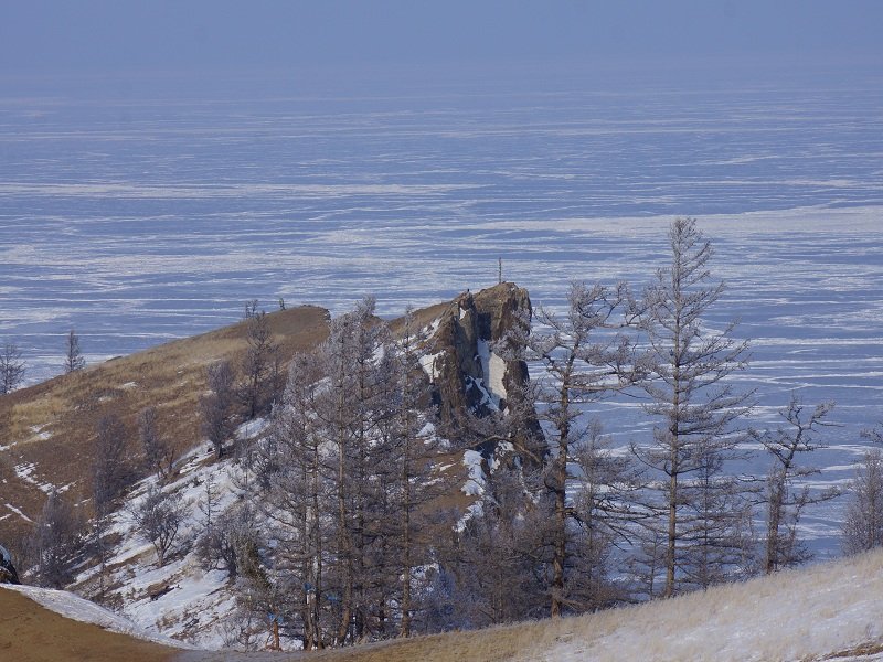 Фото дня