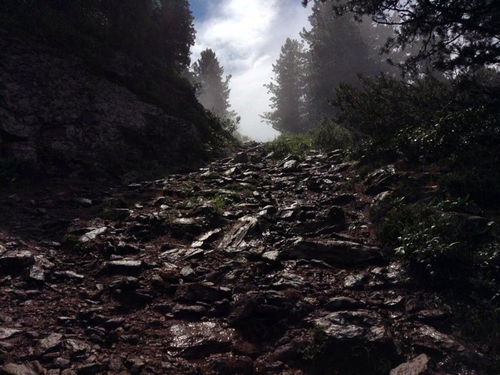 Фото дня