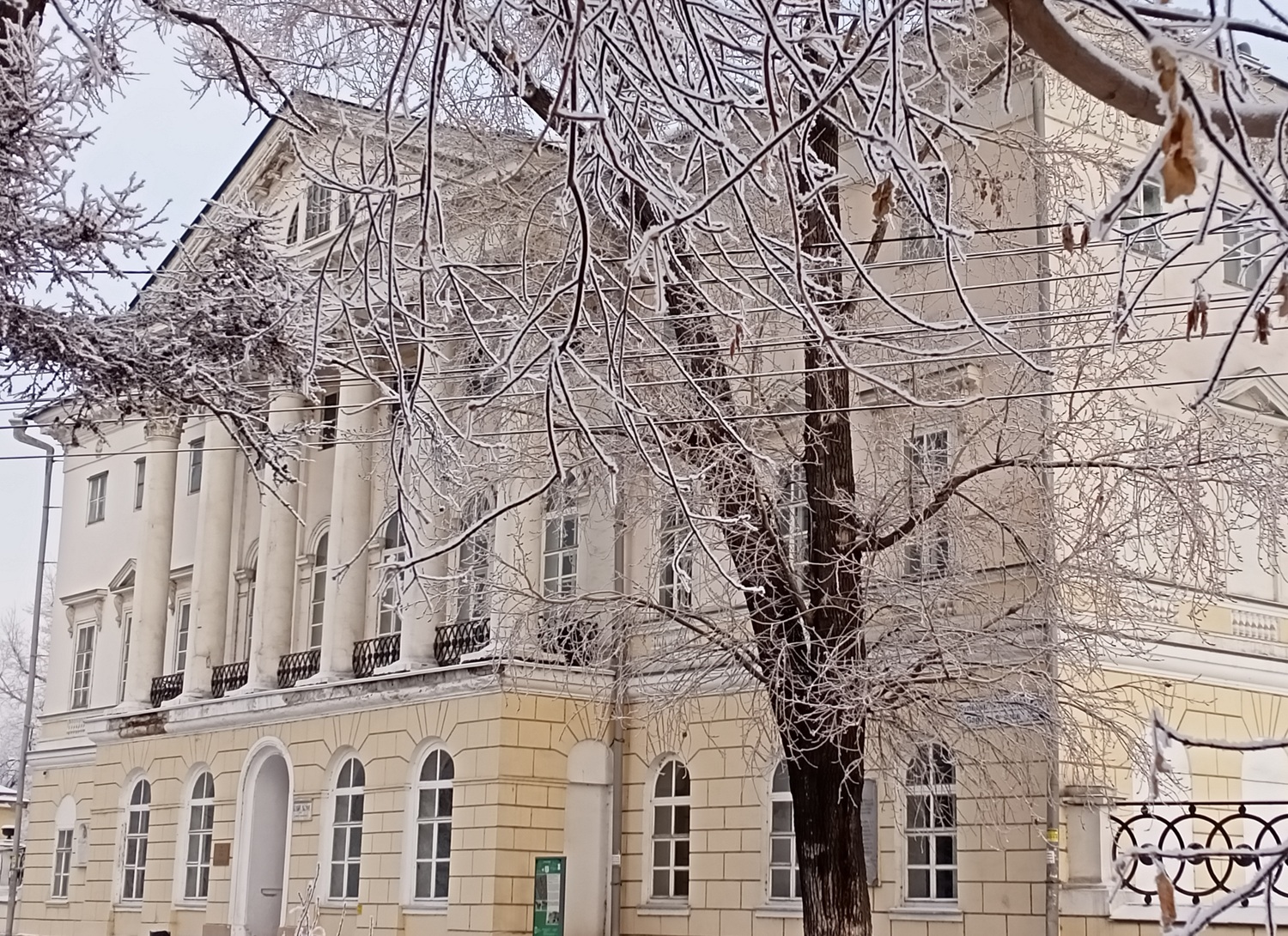 Фото дня