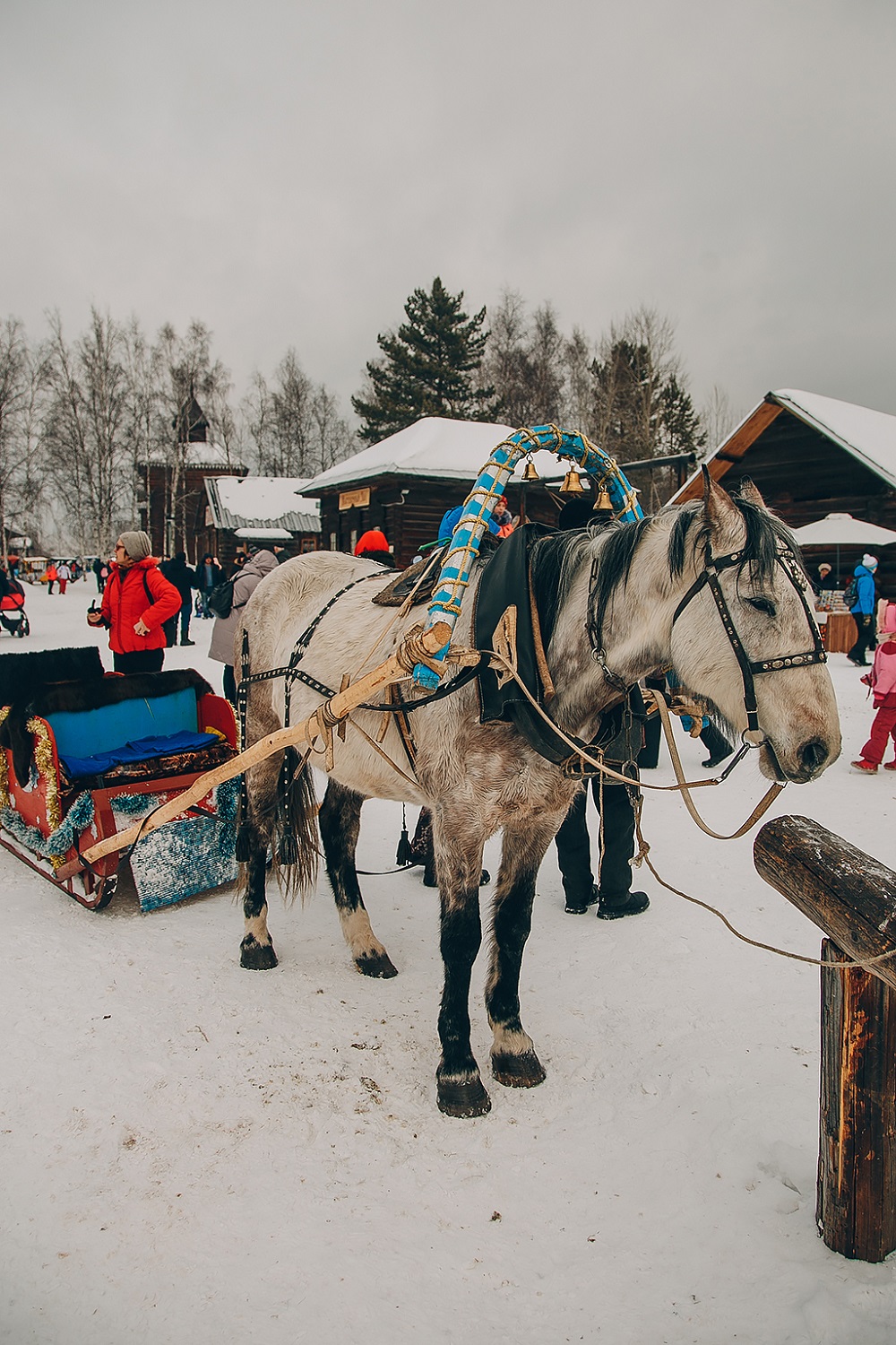 Фото дня