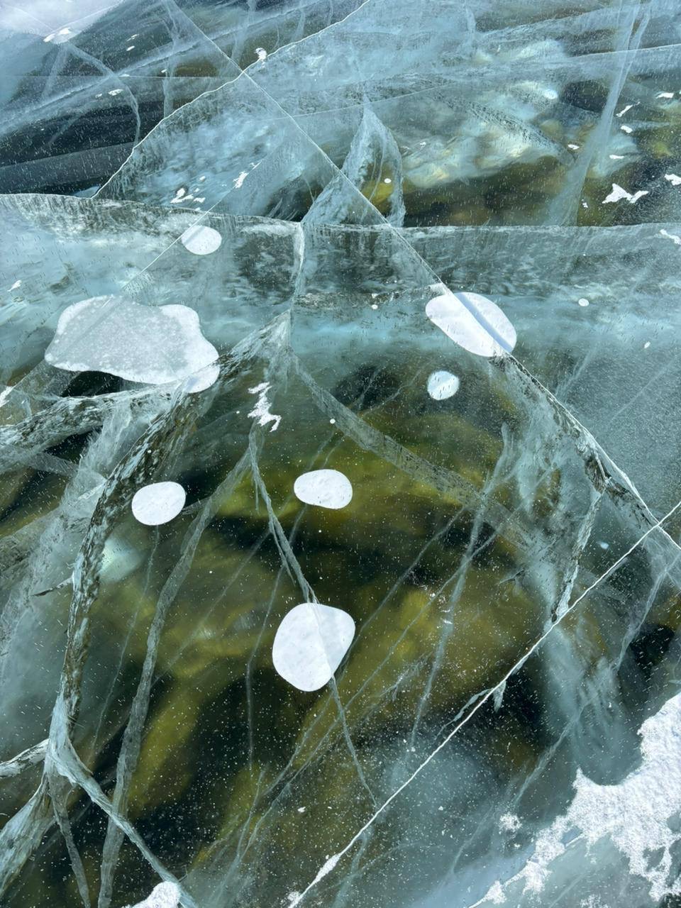 Фото дня