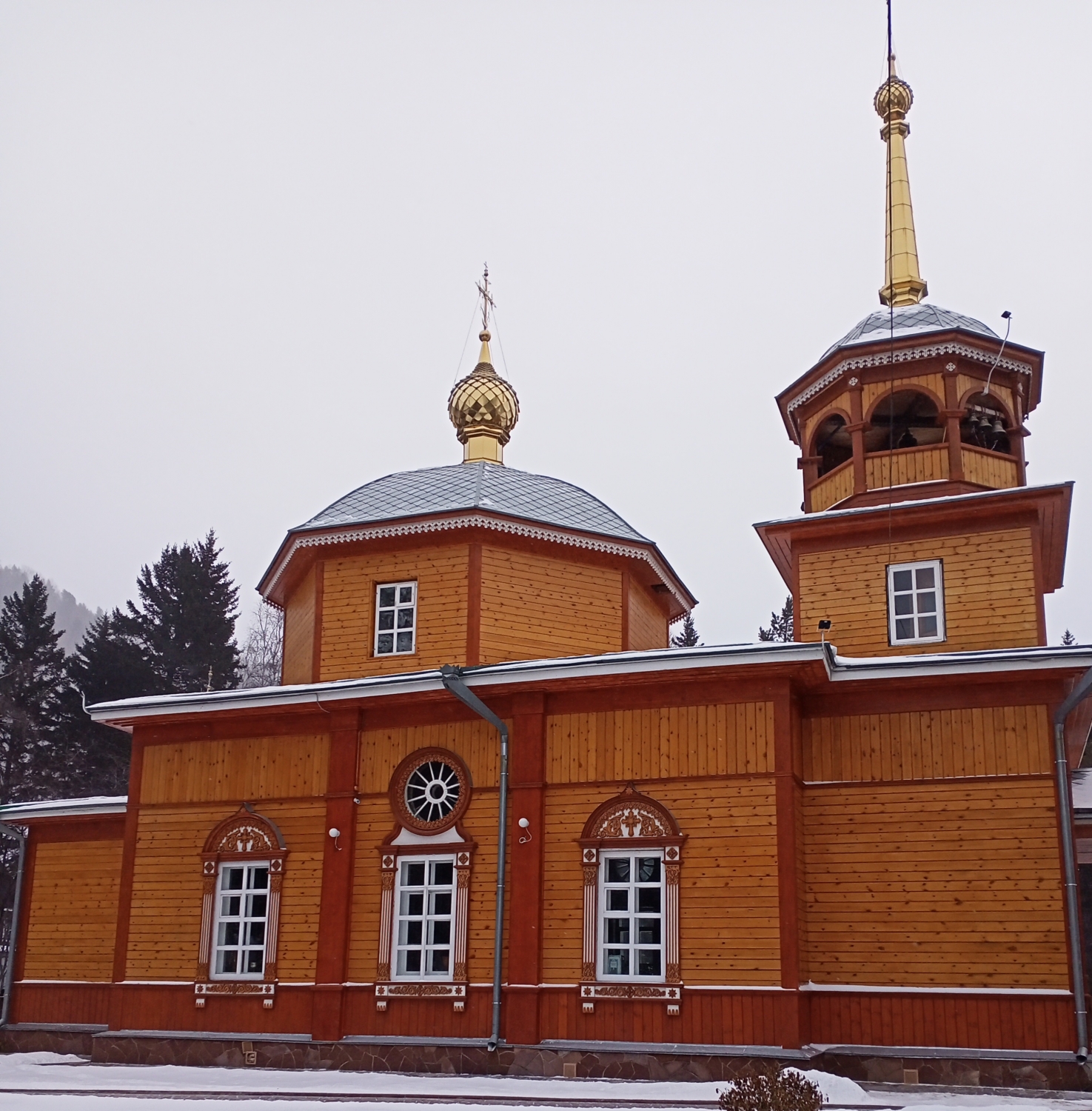 Фото дня