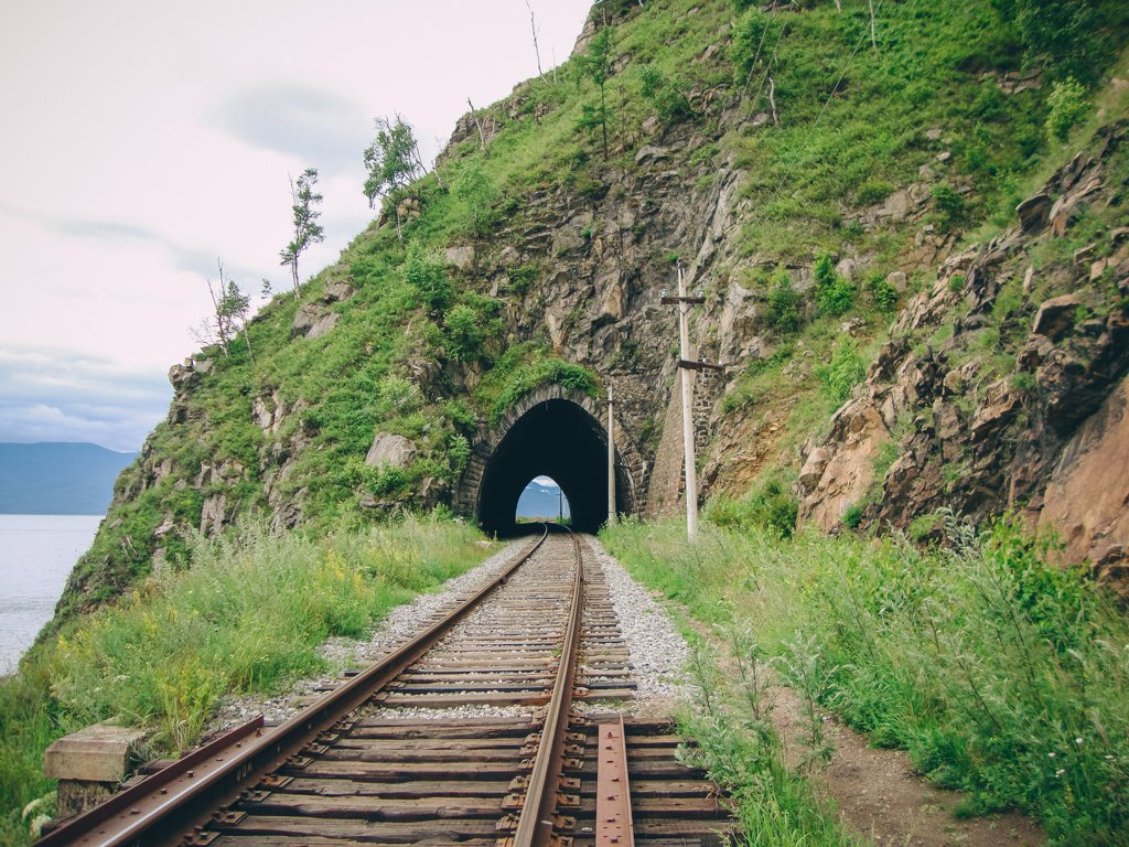 Фото дня