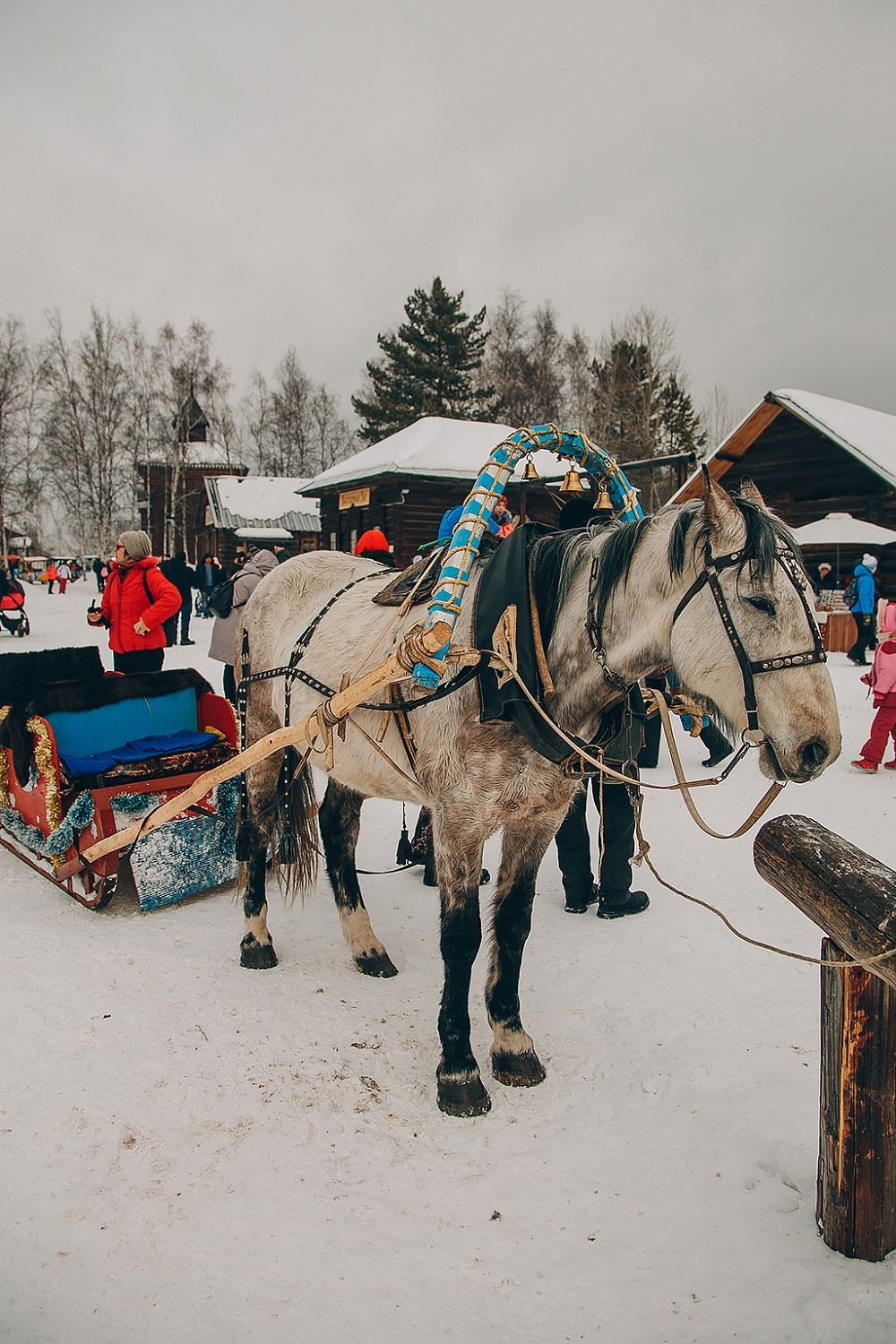 Фото дня