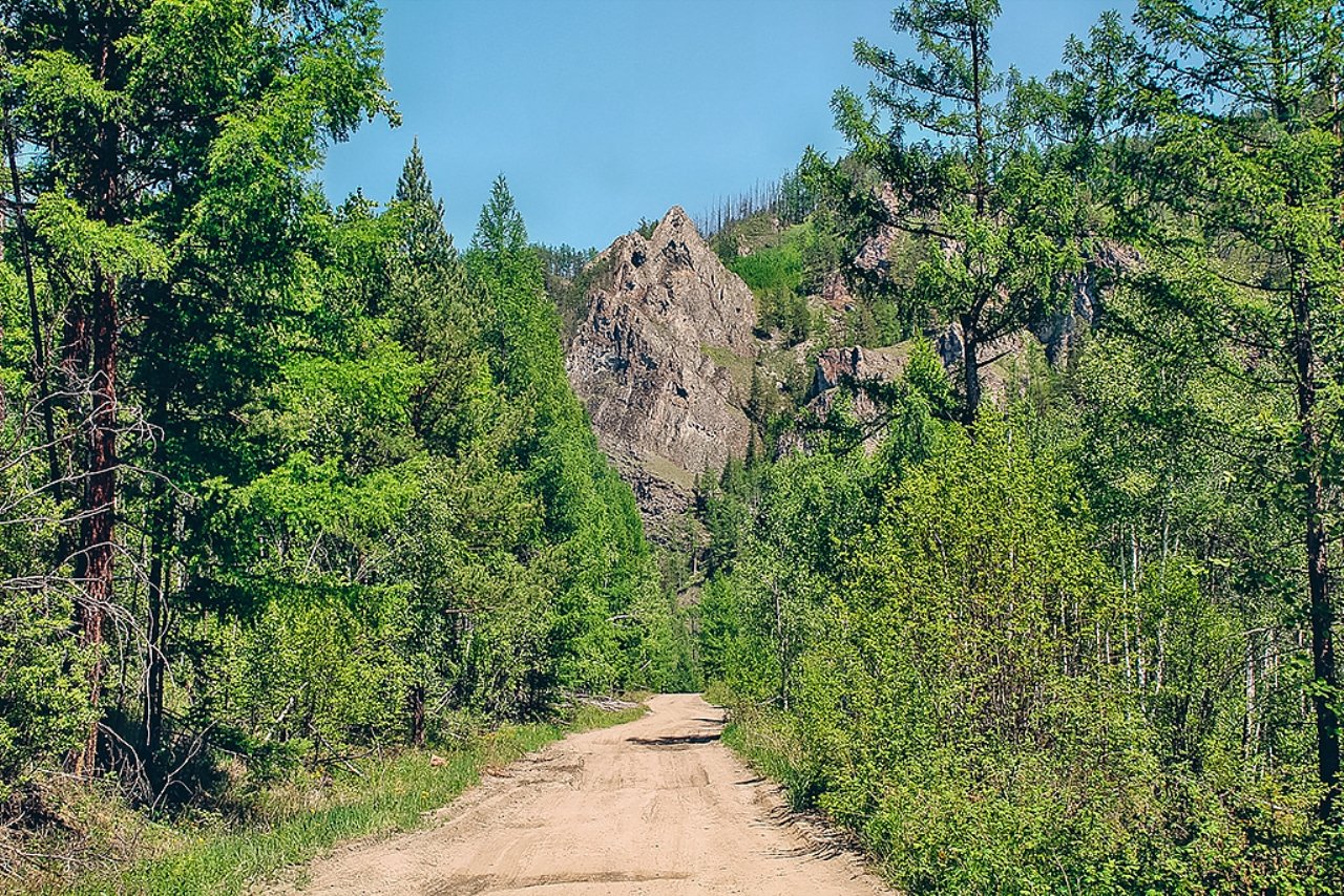 Фото дня