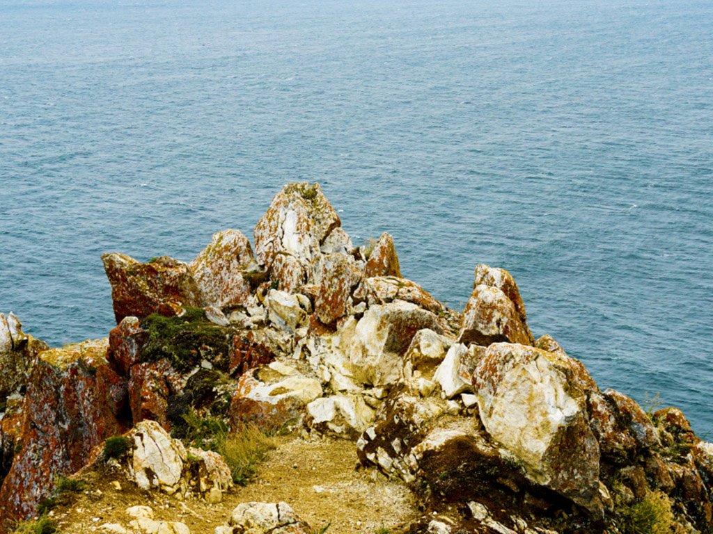 Фото дня