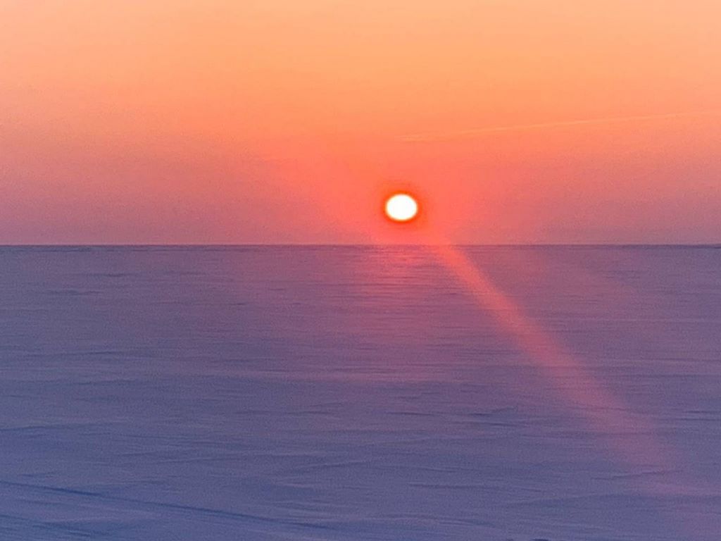 Фото дня