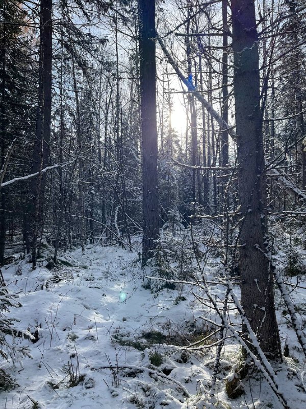 Фото дня