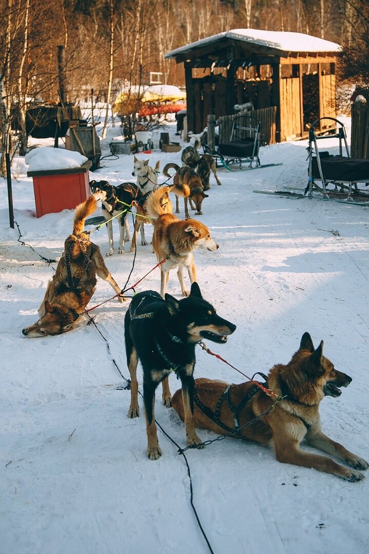 Фото дня