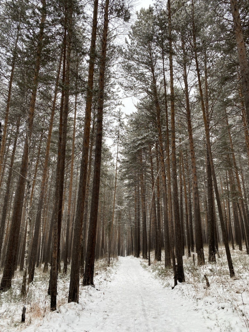 Фото дня