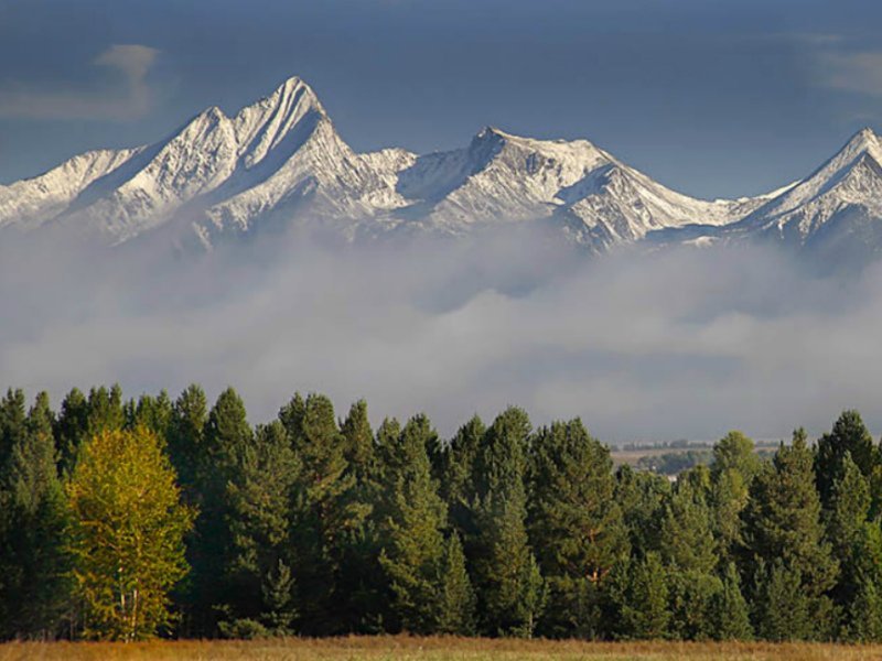Фото дня