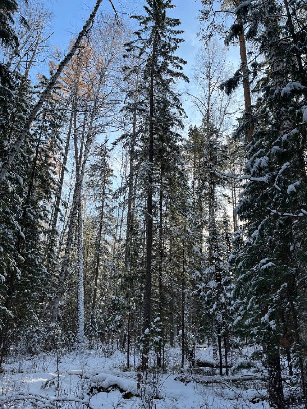 Фото дня