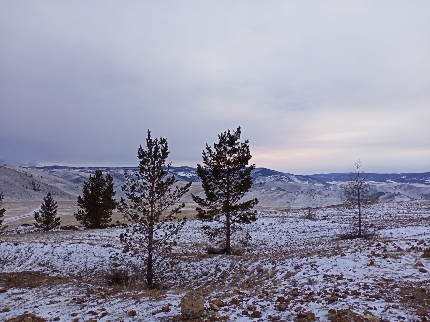 Фото дня